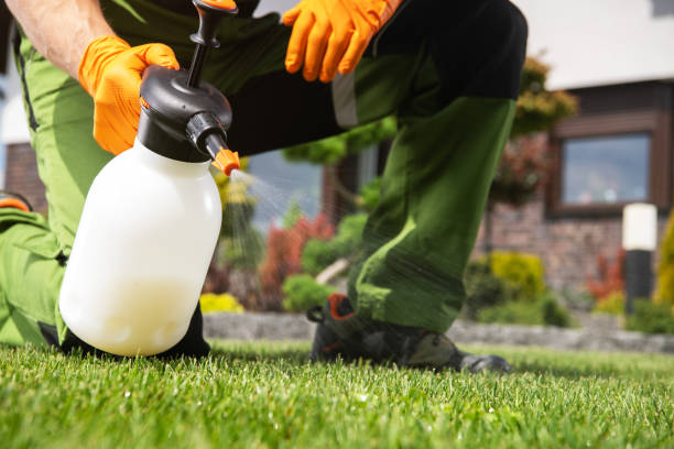 Pest Control for Hotels in Corydon, IA